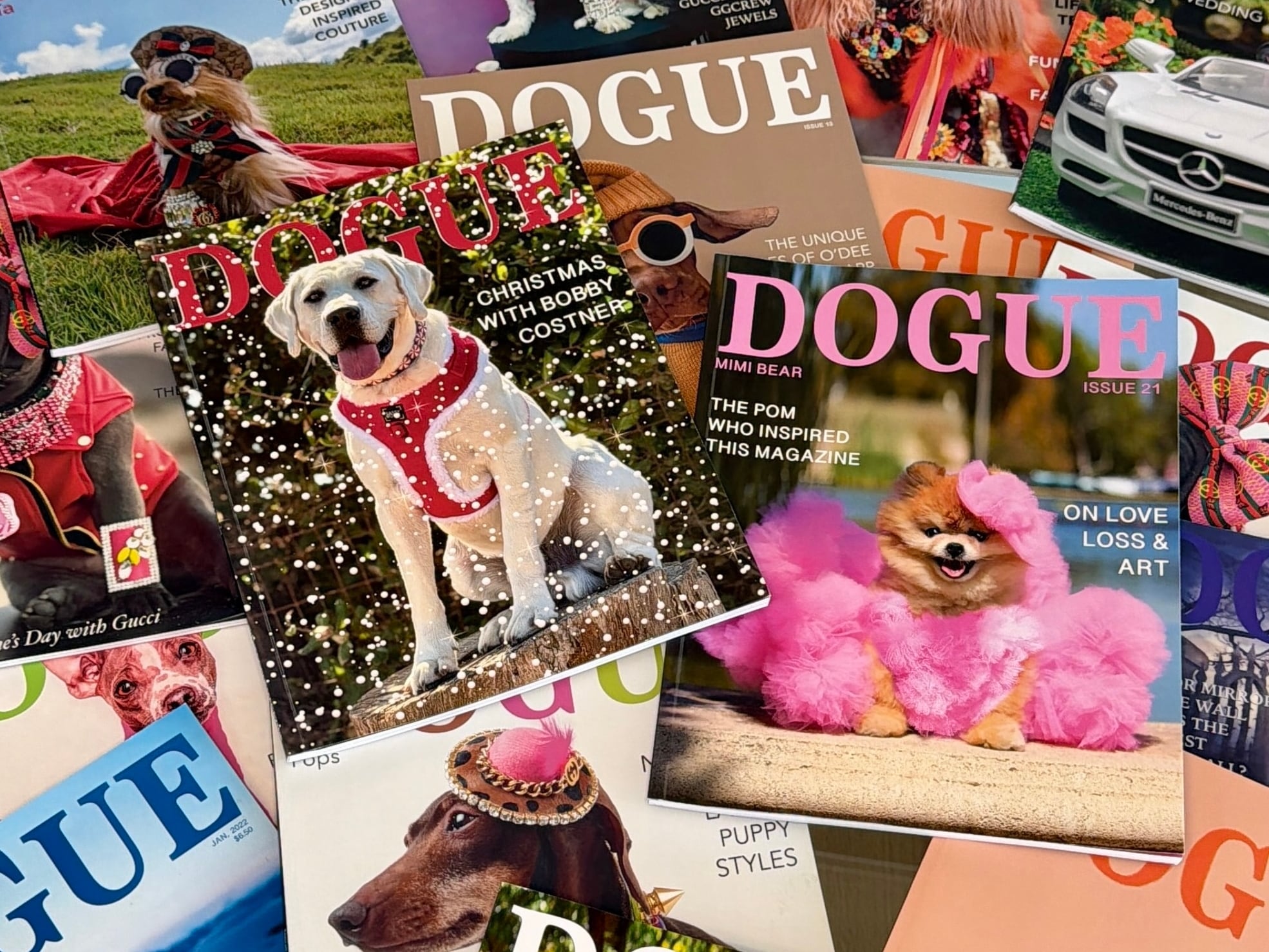 ‘Dogue’, la revista de moda canina acusada de copiar a ‘Vogue’: “Esperaba una colaboración, no una demanda”